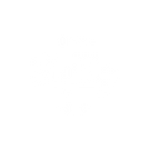 The Sigma Phi Epsilon Store (SigEp) logo