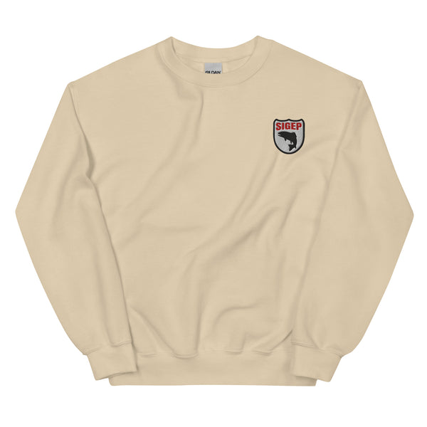 60s PHI KAPPA SIGMA ビンテージスウェット s-l400.jpg