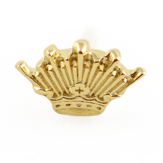 Jewelry: Ducal Crown Pin