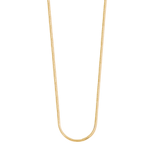  Jewelry: Snake Chain